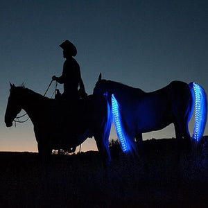 Horse Equipment Riding Tail LED Flashing Lights